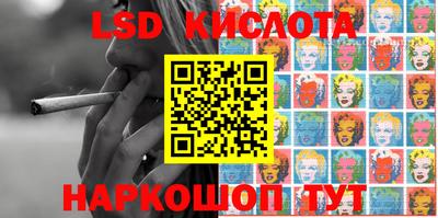 крисы Гатчина