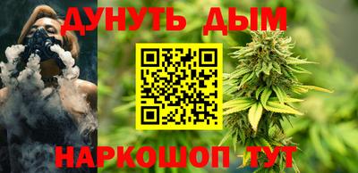 крисы Гагарин