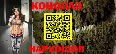 крисы Гагарин