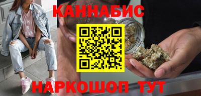 крисы Гатчина