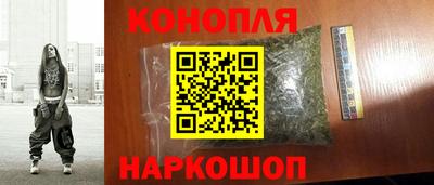крисы Гагарин