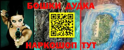 крисы Гатчина