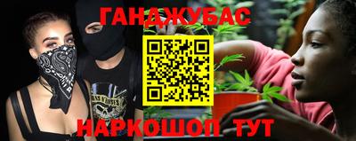 крисы Гатчина