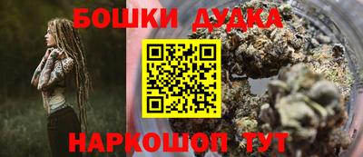 крисы Гатчина