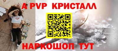 крисы Гагарин