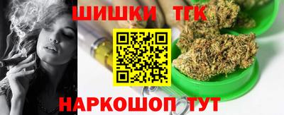 крисы Гатчина